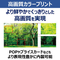 キヤノン(Canon) A3　カラーレーザーSatera LBP811C 1台