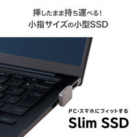アイ・オー・データ機器 USB 5Gbps対応 USBーC 小型SSD(Slim SSD) 512GB SSPJ-UTC512 1台