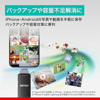 バッファロー USB3.2 TypeーC/Aスティック型SSD 1.0TB ブラック SSD-SD1.0U3-BA 1個