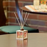 アデリアレトロディフューザーAC キャンディコスモス 1セット（1個×3） ライフオンプロダクツ