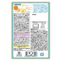 グミ 食べきりサイズ 機能性表示食品 果実グミ 和梨味 40g 1セット（1個×16）