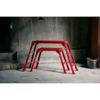 天馬 脚立 アルミ製 作業台 2段 ガレージ 雑貨 レッド 467199 1個（直送品）