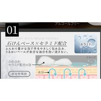 【アウトレット】泡ハンドソープ セラミド配合うるおい手肌 ミルキィソープの香り 本体 250mL 1セット（1個×3） ビオリカ【泡タイプ】