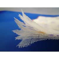 丸藤 綿ガーゼテーブルふきん（和柄）5枚入 4935437101609 1セット（10個）（直送品）