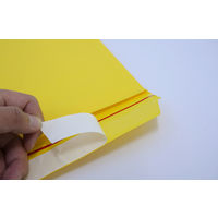 大洋社 エアクッション封筒エコ　100枚セット　No.830T 1セット（100枚入）（直送品）