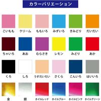 ゴークラ カラー工作用紙 A3 450×320mm 310g/平方m 50枚 610 みどり CKA3-610 1包