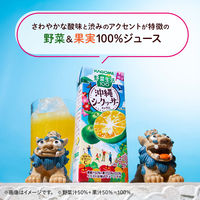 カゴメ 野菜生活100 シークヮーサーミックス 195ml 1箱（24本入）