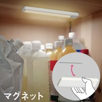 ムサシ どこでもひっかけ薄型センサーライト ASC-800 418823 1台 O0948