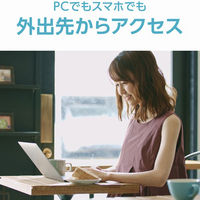 ネットワーク接続ハードディスク（ＮＡＳ）　２ドライブモデル　６ＴＢ HDL2-TA6 1台 アイ・オー・データ機器（直送品）