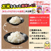 森永製菓　クックゼラチン　1個（5g×13袋入)