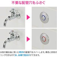 カクダイ ガオナ 化粧プラグ 呼20 赤・青リング付き GA-JL002 1セット（直送品）