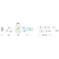 マクセル（Maxell） オゾン除菌消臭器「オゾネオエアロ+」 MXAP-DAE280WH 1台