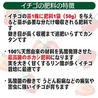 渡辺泰 乳酸発酵　イチゴの肥料　粒状５０ｇ入り×１２袋 WTLP-200287 1セット（12袋入）（直送品）