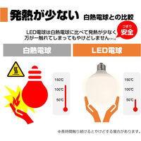 朝日電器 LED電球 ボール形G95 LDG4L-G-G2102 1個