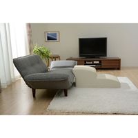 セルタン ドックステップ 2段BK A385-597/602BK 1台（直送品）