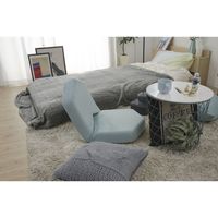 セルタン インテリア 座椅子 テクノグレー A897-647GRY 1台（直送品）