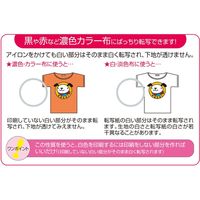 サンワサプライ カラーレーザー用アイロン転写紙(カラー布用) LBP-TPRCLN 1袋(3枚入)（直送品）