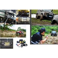 ワールドコンセプトパートナーズ DC12V 電動ウィンチ5910kg リモコン付 246327-01 1台（直送品）