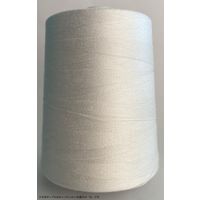 アズマ 工業用ミシン糸　キンバビニロン#30/5000m　20番色 kbv30/5000-020 1本(5000m巻)（直送品）