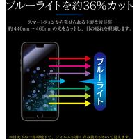 MSソリューションズ iPhone SE (第2世代) ガラスフィルム ブルーライトカット LP-I9FGB 1個