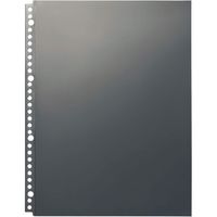 ライオン事務器 クリアーポケット台紙なし バイオマス A4サイズ 50枚 CL-303BP-50P 1パック