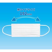 エスパック 〈横ワイド〉大人用マスク30枚入 白 (個包装) YW30-AS 1袋(30枚入)