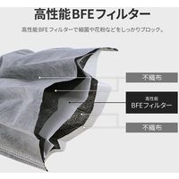 MSソリューションズ 不織布マスク 灰 ふつうサイズ(個包装) 50枚入/箱 PL-FM03GY50EG 2箱