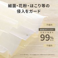 MSソリューションズ 不織布マスク アイボリー ふつうサイズ(個包装) 50枚入/箱 PL-FM03IV50E 2箱