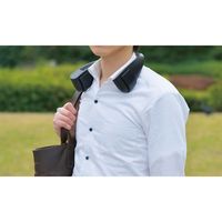 アピックスインターナショナル ウェラブルファン BK AWF-521 1個（直送品）