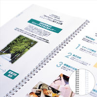 カール事務器 ダブルループリング 6mm ホワイト TW-6-W 1袋(10本入)