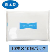 エヒメ紙工 ポケットペーパータオル 使い捨て手拭き用 10枚入×10個パック PPT-10P 1セット(100枚入)