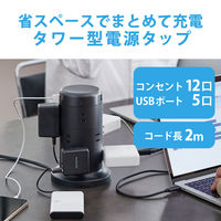タワー型 電源タップ USBタップ 2m 12口 USB×5 雷ガード ほこり防止 黒 TT-U02-1220BK エレコム 1個