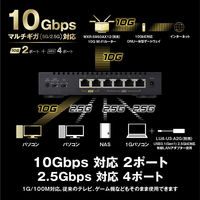 スイッチングハブ 10GbE/2.5GbE対応 金属筐体 AC電源 6ポート ブラック LXW-10G2/2G4 バッファロー