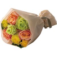 アデリー ホシファーム　バラブーケビタミン8本&アニマルドーナツ2個 CAD-5+RB-V8 1箱（直送品）