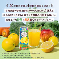 カゴメ 野菜生活100 宮崎月夜実グレープフルーツ＆日向夏ミックス 195ml 1箱（24本入）