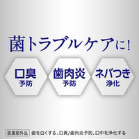 薬用ピュオーラ ナノブライト 115g 花王 歯磨き粉 虫歯・口臭・歯肉炎予防 美白