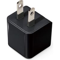 PGA mini電源アダプタ USB-Cポート ブラック PG-CPAC15A01BK 1個