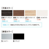 【軒先渡し】ニシキ工業 大型会議テーブル スタンダード ボート型 幅4800×奥行1400×高さ720mm 銀×ダークウッド 1台（直送品）