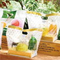 ヘッズ CLエレガントPPスタンドBAG-ゴールド底板付 CEG-OSB2 1セット（200枚：20枚×10パック）