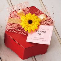 ヘッズ サンキュータッグ/ピンク-1 TY-T1 1セット(500枚:50枚×10パック)（直送品）