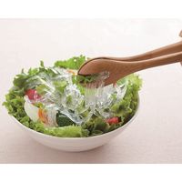 かんてんぱぱ サラダ用寒天 10g 2袋