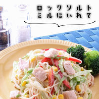 イタリアンロックソルト（岩塩）　800g ユウキ食品