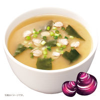 インスタント 元気プラス オルニチン入りおみそ汁減塩 3袋 ひかり味噌