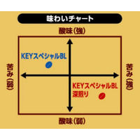 キーコーヒー スペシャルブレンド深煎り 詰替用 1袋（60g） インスタントコーヒー