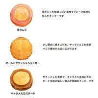 ステラおばさんのクッキー カントリーベアクラフト（白） 1個 アントステラ　手土産　ギフト　母の日　父の日　敬老の日