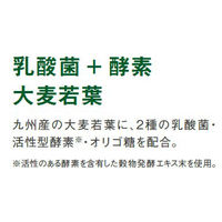 乳酸菌+酵素 大麦若葉 30袋 アサヒグループ食品 青汁