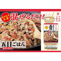 キッコーマン うちのごはん 混ぜごはんの素 五目ごはん 1セット（2個）