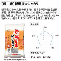 新潟県産 こしひかり 10kg 【精白米】 令和7年産 米 お米 コシヒカリ