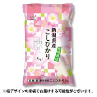 新潟県産 コシヒカリ 5kg 【精白米】 令和7年産 米 お米 こしひかり