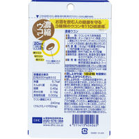 DHC 濃縮ウコン（20日分） 1セット（1袋（40粒）×3） ディーエイチシー サプリメント